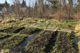 19 соток в дачах