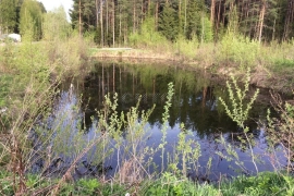 Недвижимость Земельные участки / Участок 29 сот. (ИЖС)