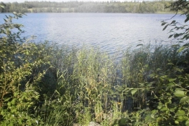 Участок, 10 сот.