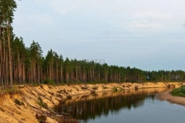Недвижимость Земельные участки / Участок 15 сот. (ИЖС)
