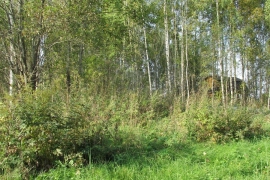 Участок, 15 сот.