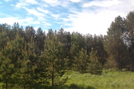 Недвижимость Земельные участки / Участок 6.8 га (промназначения)