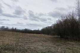 Недвижимость Земельные участки / Участок 25 сот. (ИЖС)