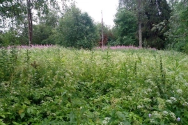 Недвижимость Земельные участки / Участок 15 сот. (ИЖС)