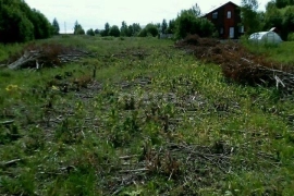 Недвижимость Земельные участки / Участок 15 сот. (ИЖС)