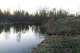 Недвижимость Земельные участки / Участок 30 (ИЖС)