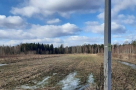 Недвижимость Земельные участки / Участок 25 (ИЖС)