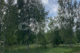 Продам землю 6.0 сот город Воскресенск садовое некоммерческое товарищество Ивушка-2 г. о. Воскресенск