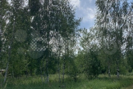 Участок 6 сот. (СНТ, ДНП)