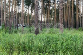 Участок 24,2 сот ИЖС ЕКБ