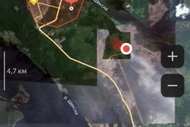 Уединение с природой в городе