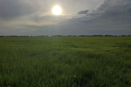Хотетовский дачи